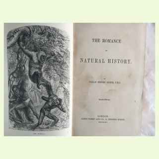 The romance of natural history.